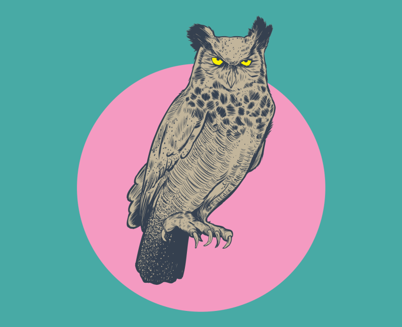 Owl Play Print